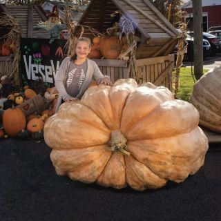 Atlantic Giant Pumpkin Thumbnail